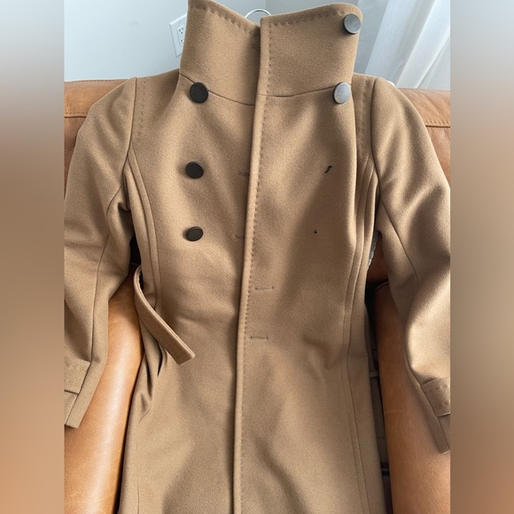 ARITZIA BABATON Double Breasted Virgin Wool & Cashmere Coat - Picture 4 of 5